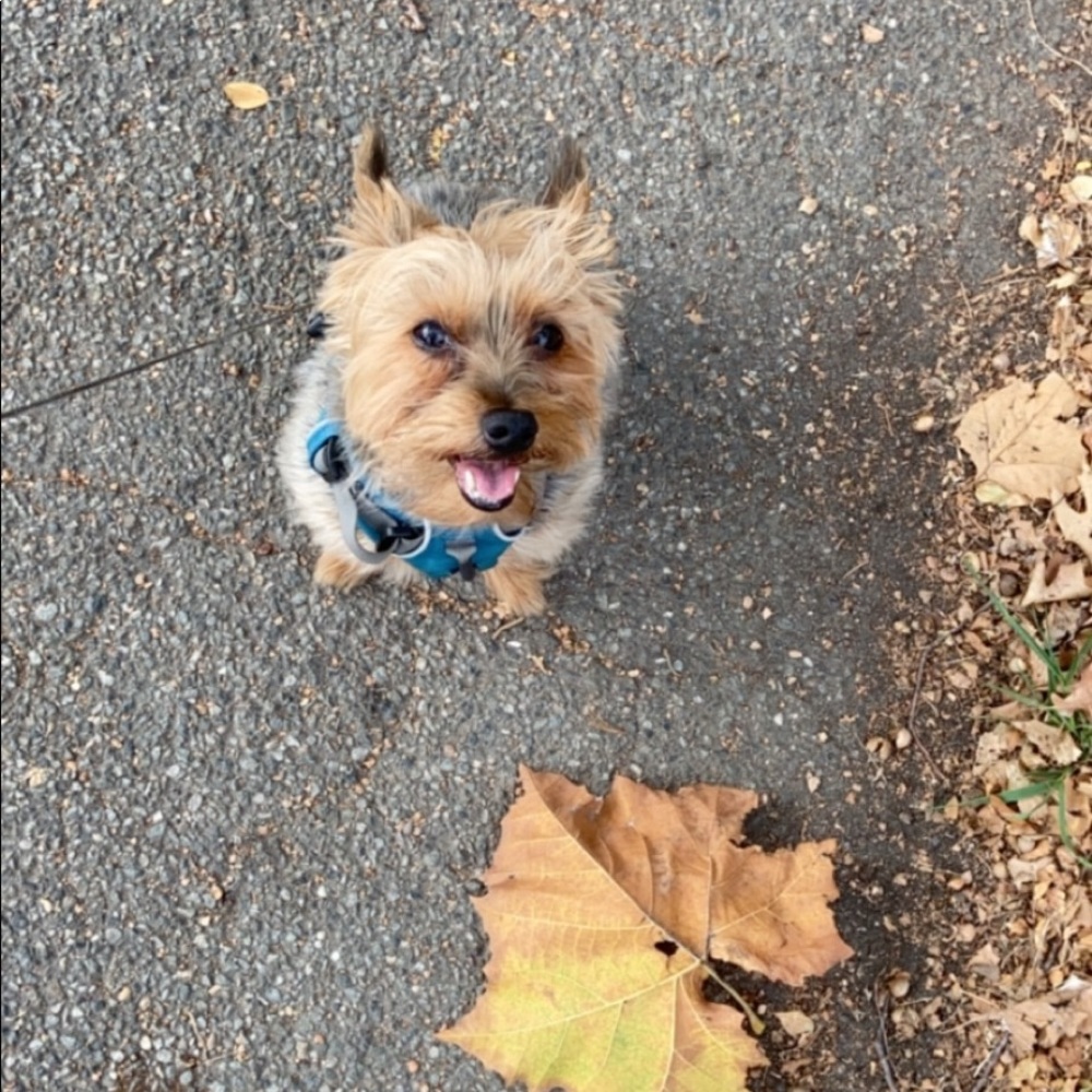 Meet your Posher, Ashley